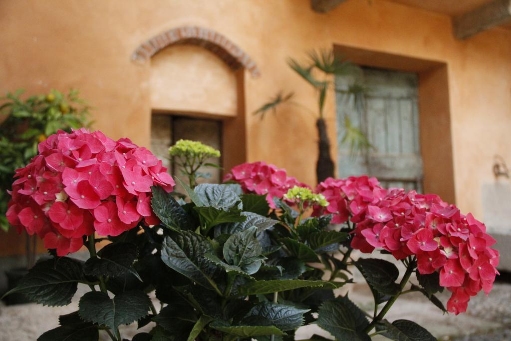 Apartmán Borgo Archinto Robecco sul Naviglio Exteriér fotografie